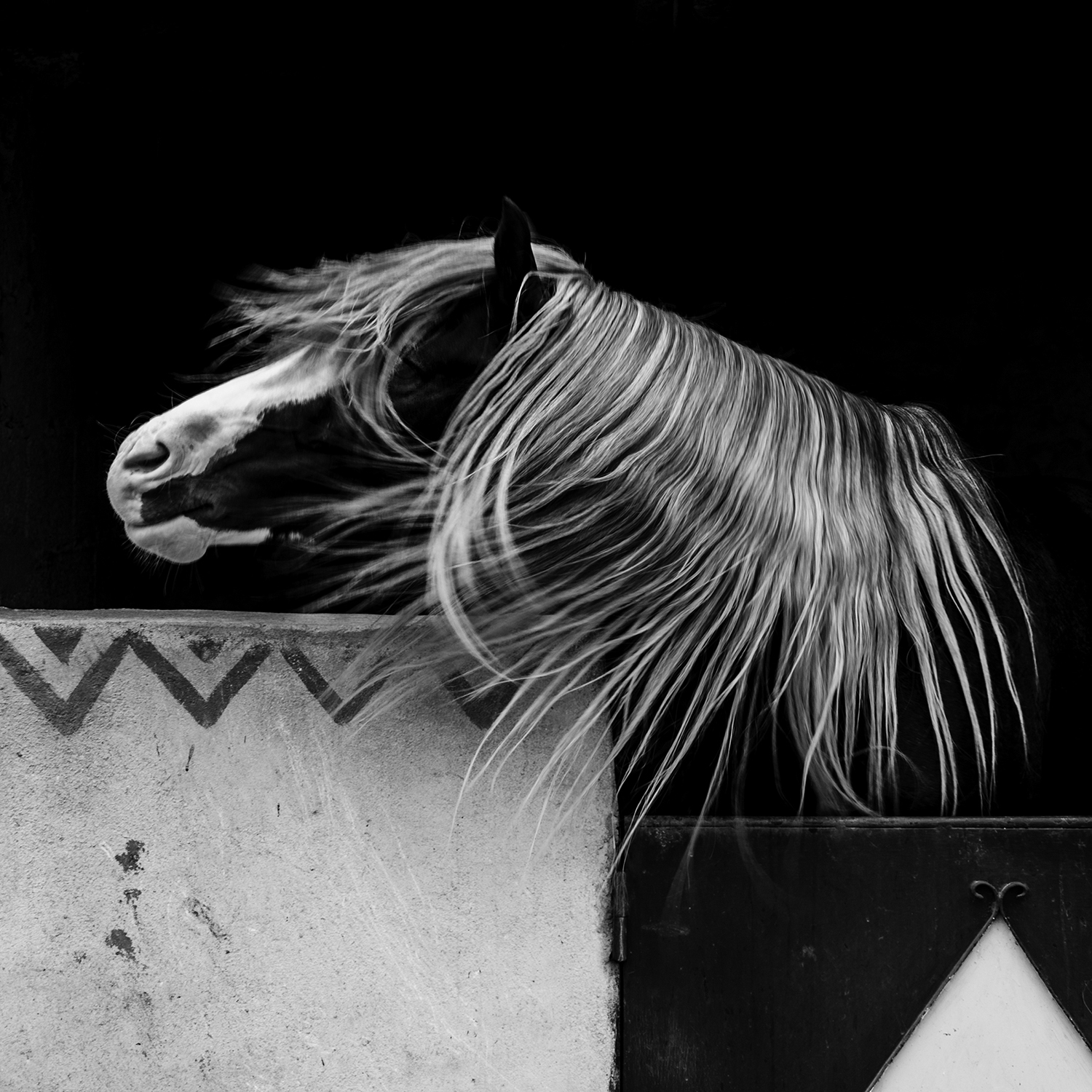 Horse in Stable, Essaouira, Morroco, 2010.jpg